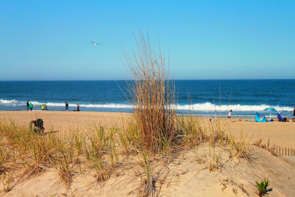 A view of a beach from the sand dunes Ocean City