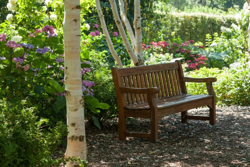 A wooden bench in a vibrant garden in Magnanville, France, surrounded by lush flora.