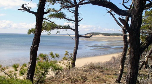 Family-friendly beaches - Cape Cod MA