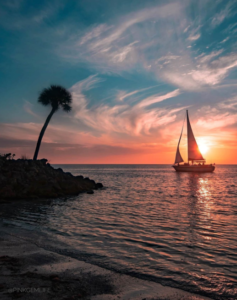 Family-friendly beaches - Siesta Key Beach Fl