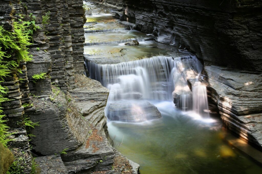 Finger Lakes, New York; a small waterfall in the middle of a forest