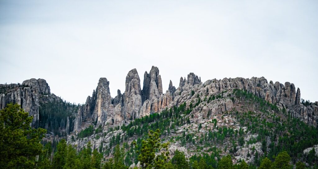 a rocky mountain with trees with Custer State Park in the background