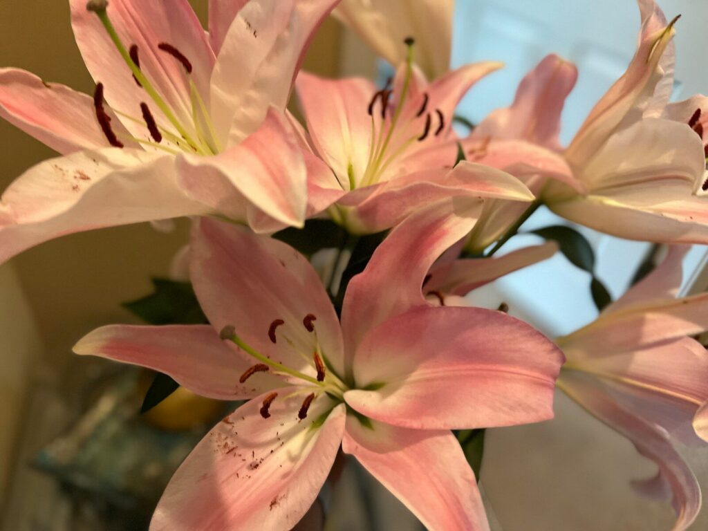a vase filled with pink flowers on top of a table