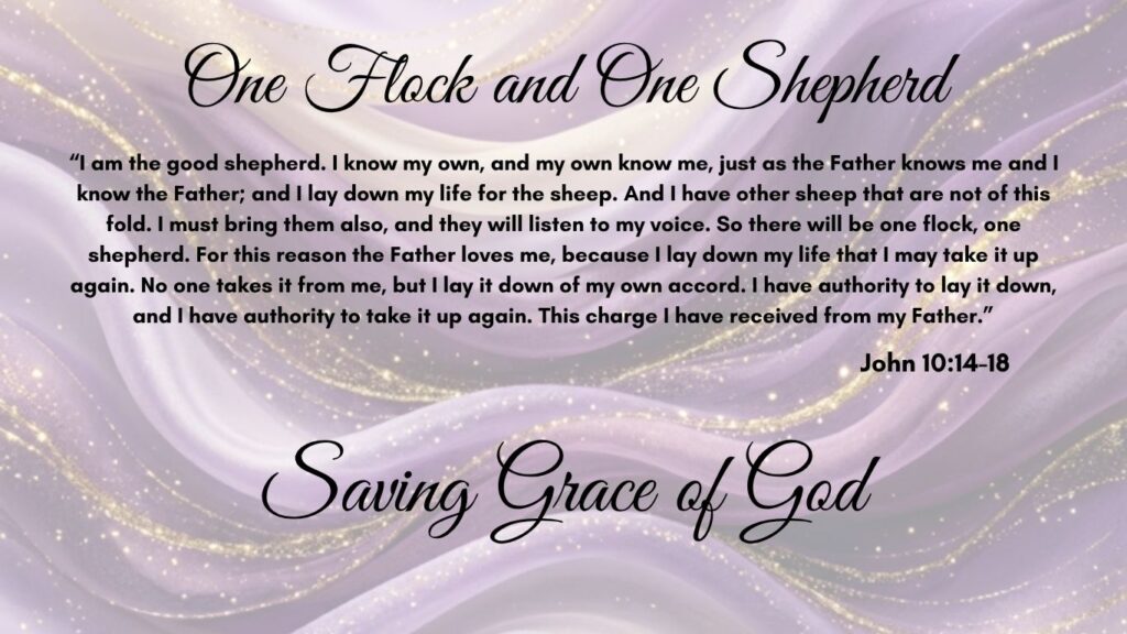 One Flock and One Shepherd