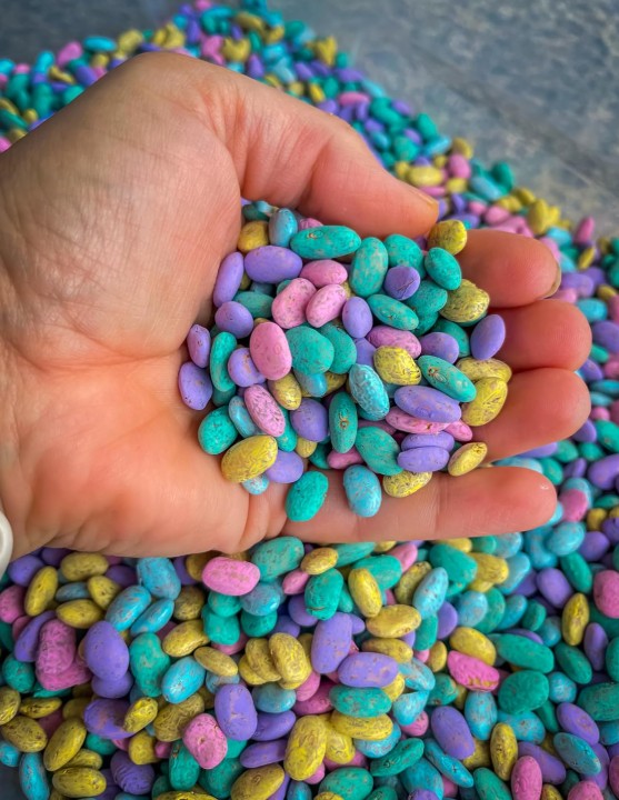 bean sensory