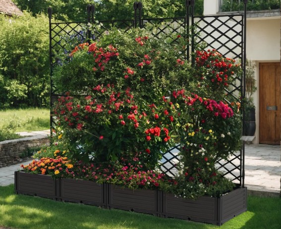 vertical trellis