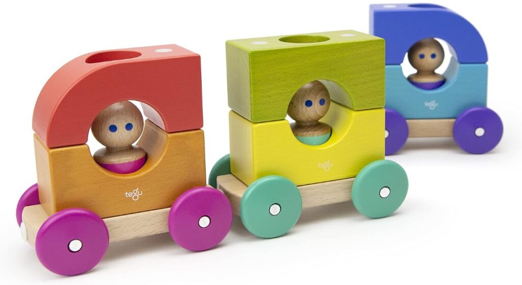 Tegu Magnetic Wooden Block Set